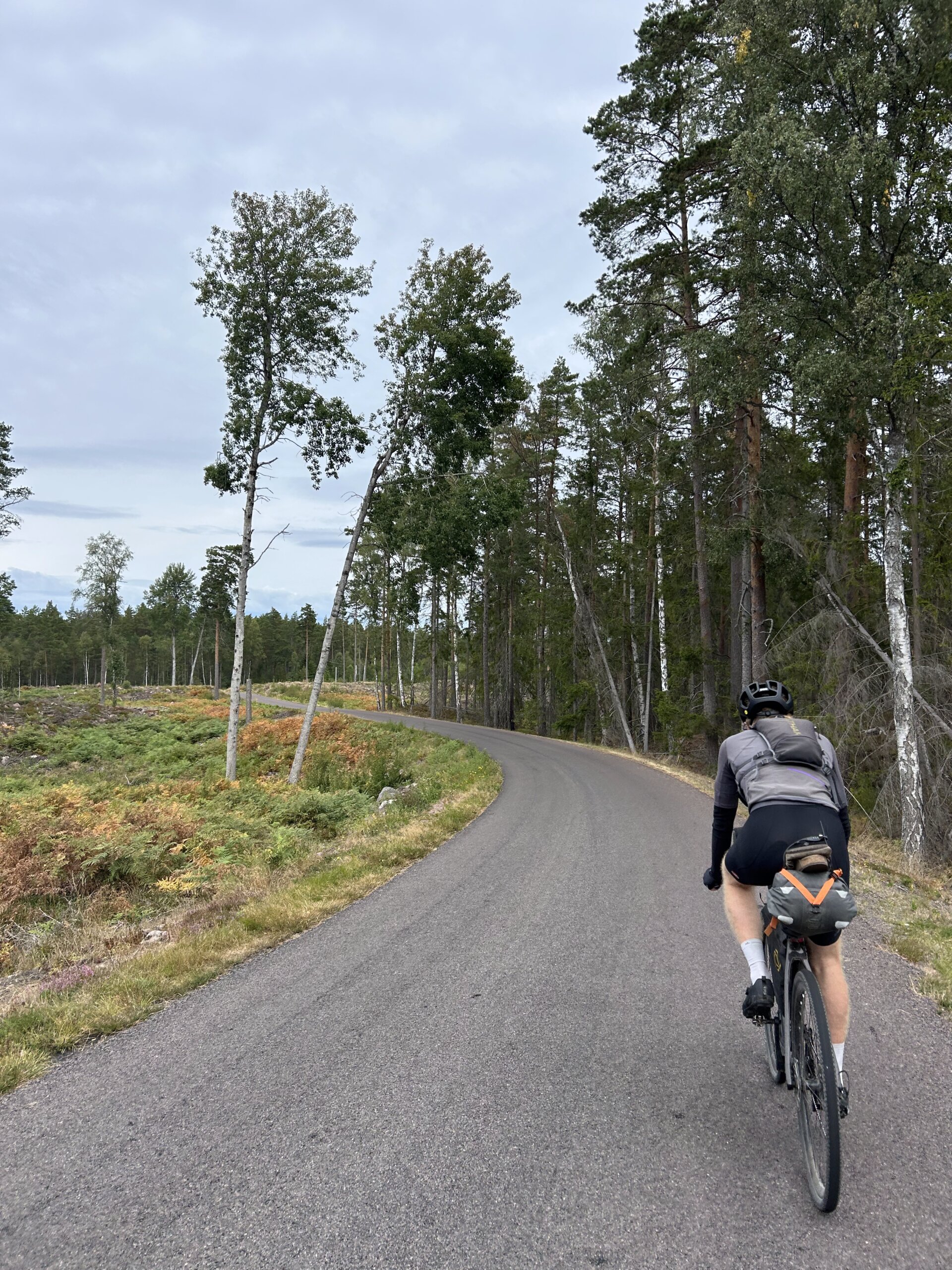 Fred fährt auf dem Fahrrad eine Straße am Waldrand entlang